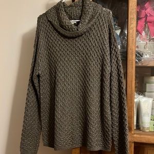 Sweat her sweat size large. Greenish gray color. Never worn